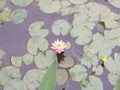 -广州神农草堂中医药博物馆