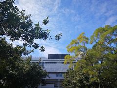 -大埔公路-马料水段香港中文大学(公交站)