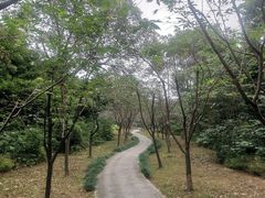 -福建鲤鱼洲酒店