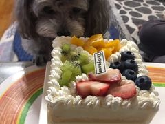 -精点味道(西安路店)