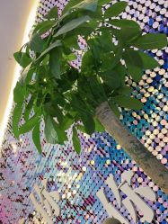 -时尚妈咪产后修复中心