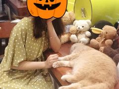 -咖法森林·咖啡  酒吧(天河店)