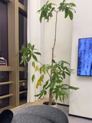 -JNK皮肤管理中心