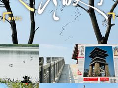 -大湾区中央湿地公园