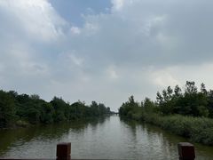 -盐城丹顶鹤湿地生态旅游区