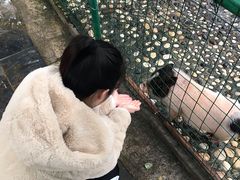 -香宫中餐厅 · 桂林香格里拉