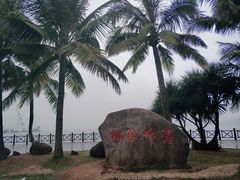 -万绿园