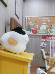 -睿宝儿科·眼科·口腔(静安大悦城门诊部)