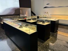 -BLACKSWAN黑天鹅(环球店)