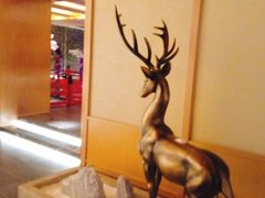 -蓝鲸湾汤泉(包河店)