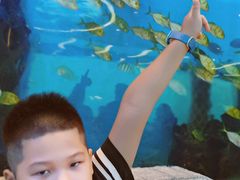 -瑞德姆美人鱼海底演艺主题餐厅(亚龙湾店)