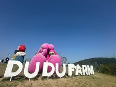 -苏州太湖西山岛开心农场