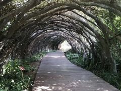 -广西壮族自治区药用植物园