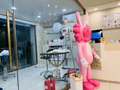 -当汪遇见喵宠物店