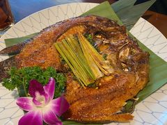 -紫滇源云南生态菜(丹凤街店)