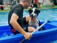 -汪说喵讲宠物乐园宠物酒店(红星美凯龙店)