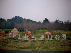 -品鲜村农家菜·阳澄湖大闸蟹(总店)