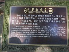 -峨眉山报国寺