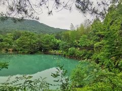 -仙店农庄(湖景农庄餐厅)