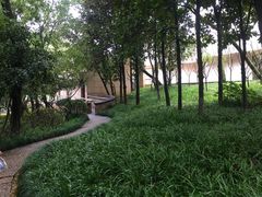 -杭州半山国家森林公园