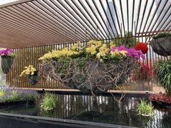 -海心沙亚运公园