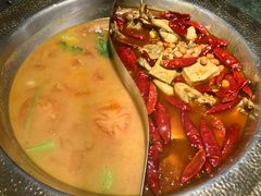 -麻田会 ·鲜活现烹·牛蛙火锅(珠江新城维家思广场店)