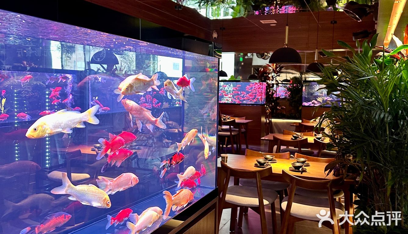 贵阳新店！小鱼餐厅好美啊！！🎏