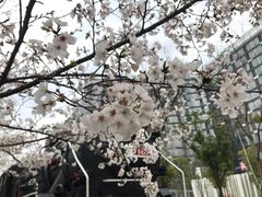 -新天地活力PARK