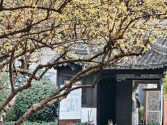 -南京市民俗博物馆(甘熙故居)