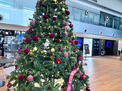 -奔驰上海利星(七宝店)