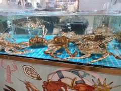 水产区-七鲜超市7FRESH(广安门店)