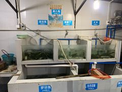 水产区-费明中罗非鱼(大石坝店)