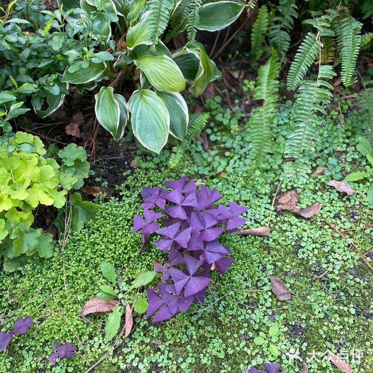 一千多年的书院📖，梁祝的美好爱情故事发源地