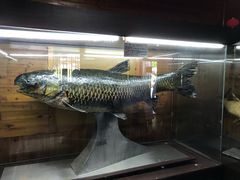 -南京金牛湖风景区