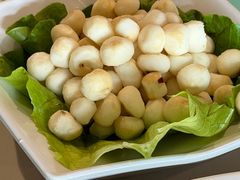 -百年果林椰子鸡(中洲店)