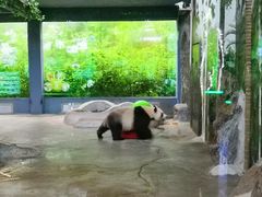 景点-海南热带野生动植物园