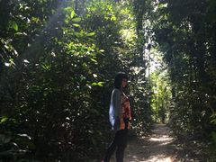 -麦里芝蓄水池