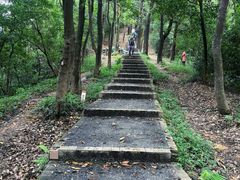 -广州市白云山风景名胜区