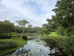 -云溪植物园