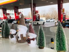 -壳牌华苑加油站