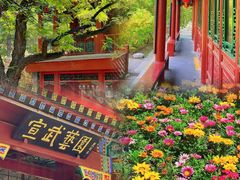 -宣武艺园