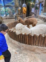 -宝燕乐园(闵行旗舰店)