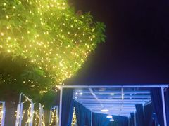 -海市蜃楼花园主题餐厅(石顶店)