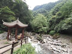 -西岭雪山大飞水景区