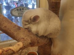 -龙猫仔乐园(惠福东路店)