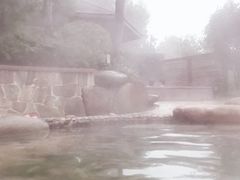 -天目湖涵田半山温泉