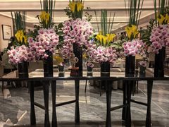 -南海渔村(珠江新城店)