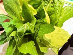 蔬菜拼盘-润园四季椰子鸡火锅(海上世界店)