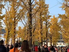 -两江幸福广场