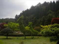 -四明山国家森林公园